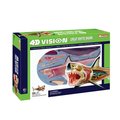 Tedco Toys Tedco Toys 26111 4D Vision Great White Shark Anatomy Model 26111
